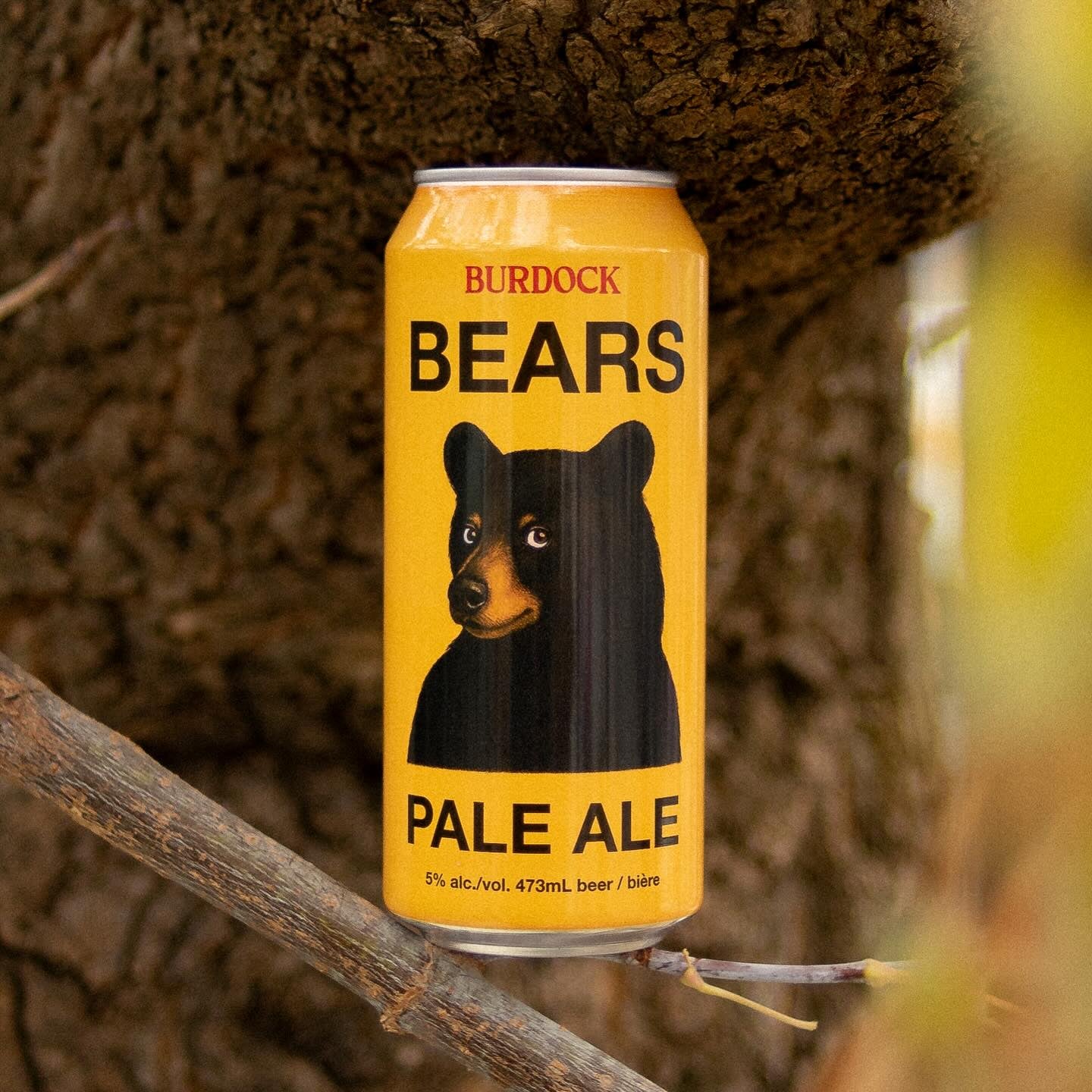 Burdock Bears Can 473ml バーダック ベアーズ