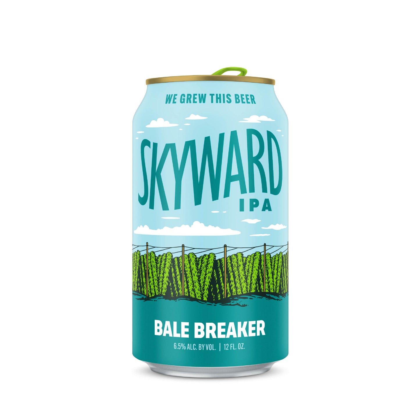 Bale Breaker Skyward Can 355ml ベイル ブレイカー スカイワード