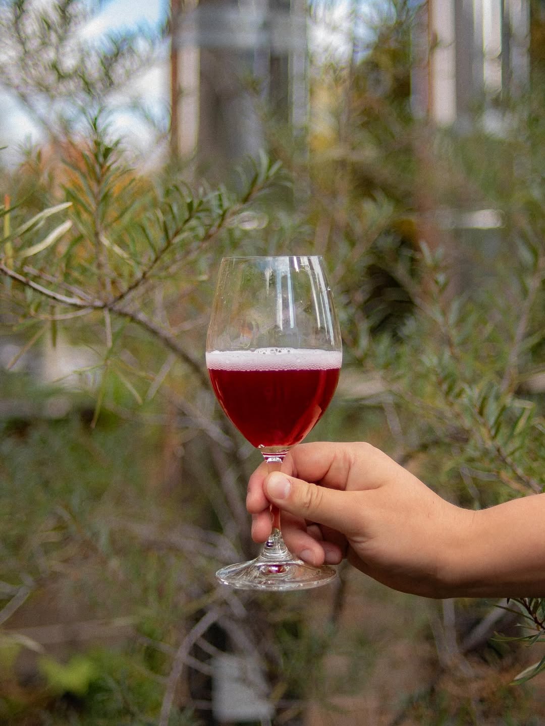 Burdock Demirossa Bottle 750ml バーダック デミロッサ