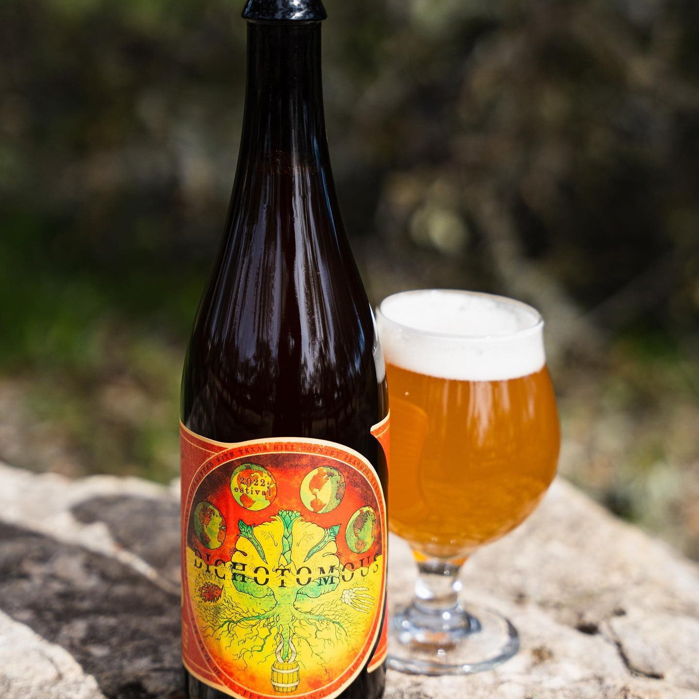 Jester King Estival Dichotomous Bottle 750ml ジェスターキング エスティバルダイカトマス