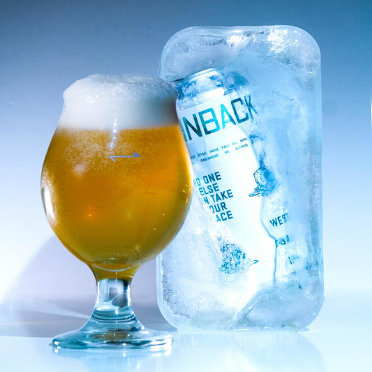 Finback No One Else Can Take Your Place Can 473ml フィンバック ノーワンエルスキャンテイクユアプレイス ※お一人様3本まで、その他の商品と合わせて合計で4本以上のご購入をお願い致します