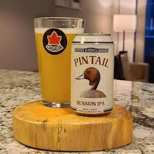 Burdock Pintail Can 355ml バーダック ピンテイル