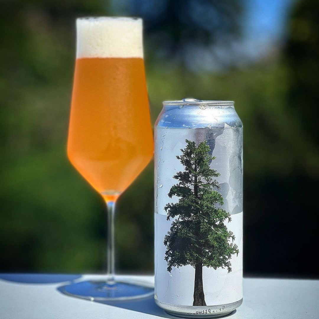 Stillwater Pacific North Wild Can 473ml スティルウォーター パシフィック ノース ワイルド