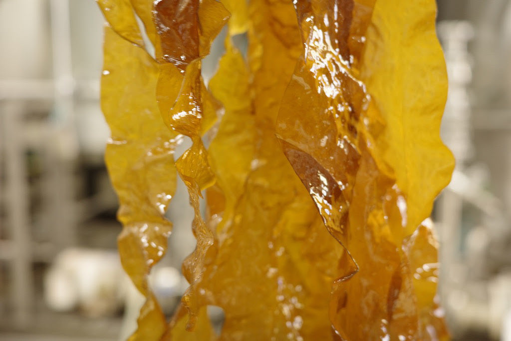 Yorocco Submarine Forest Can 350ml ヨロッコ サブマリン フォレスト