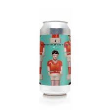 Garage Beer Somewhere in the Middle Can 440ml