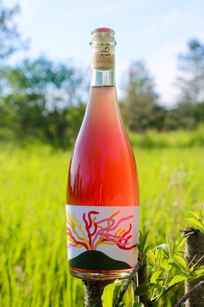 Revel Cider ibi - Apollo Bottle 750ml レベルサイダー イビ-アポロ