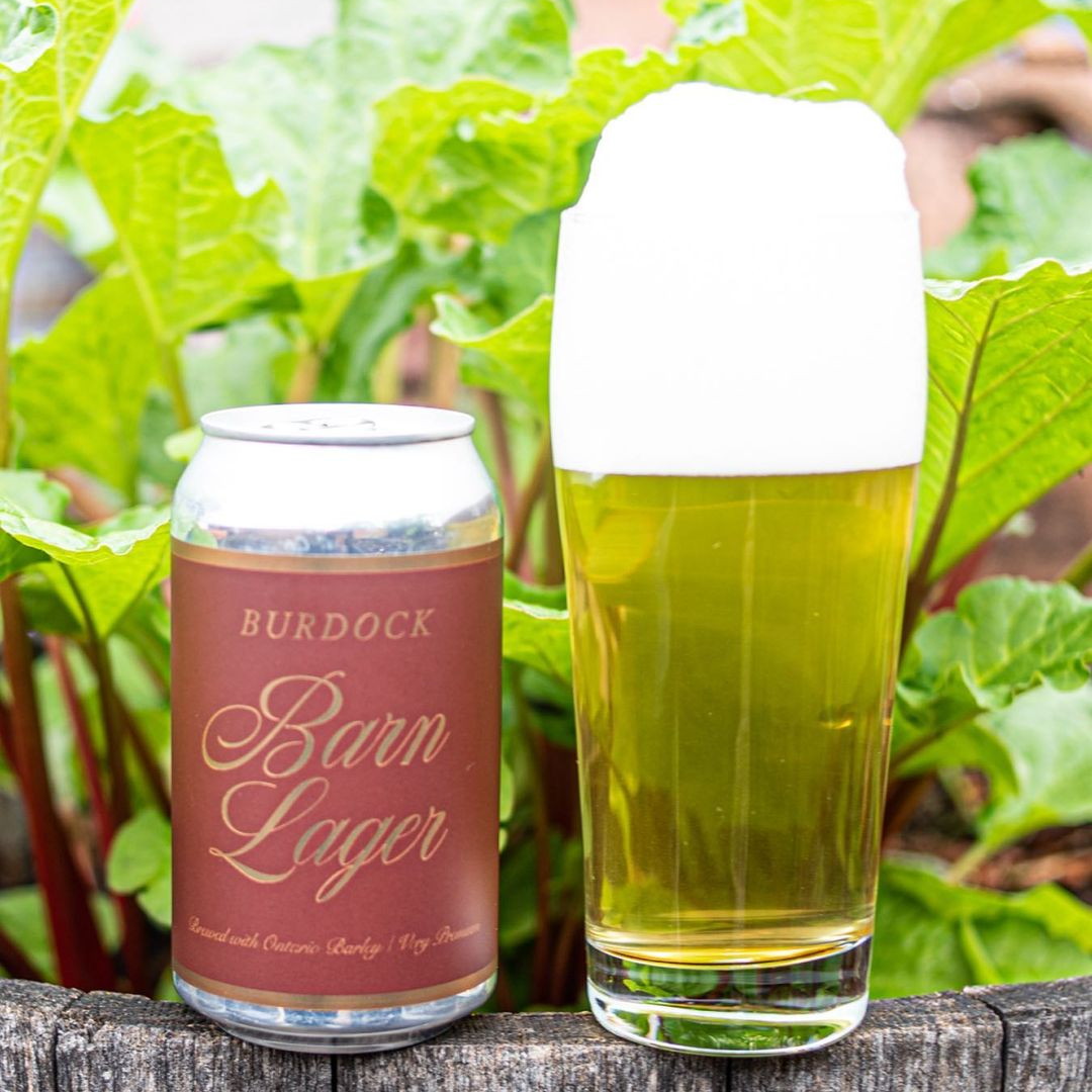 Burdock Barn Lager Can 355ml バーダック バーン ラガー