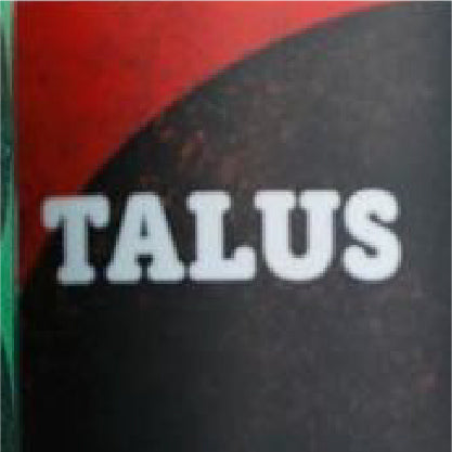 Parallel 49 Talus Can 473ml