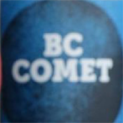 Parallel 49 BC Comet Can 473ml