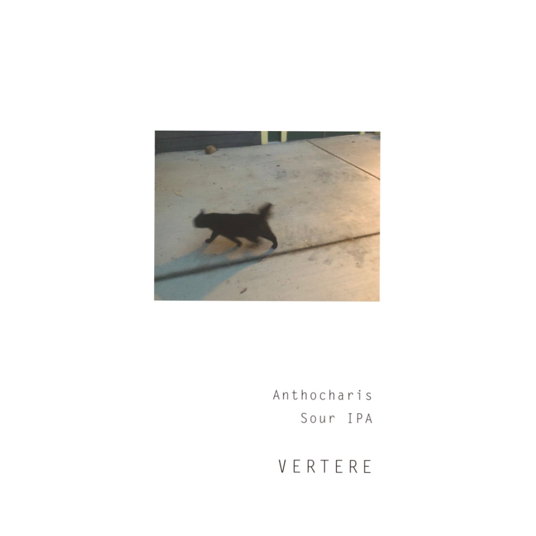 Vertere Anthocharis Can 500ml バテレ アンソカリス