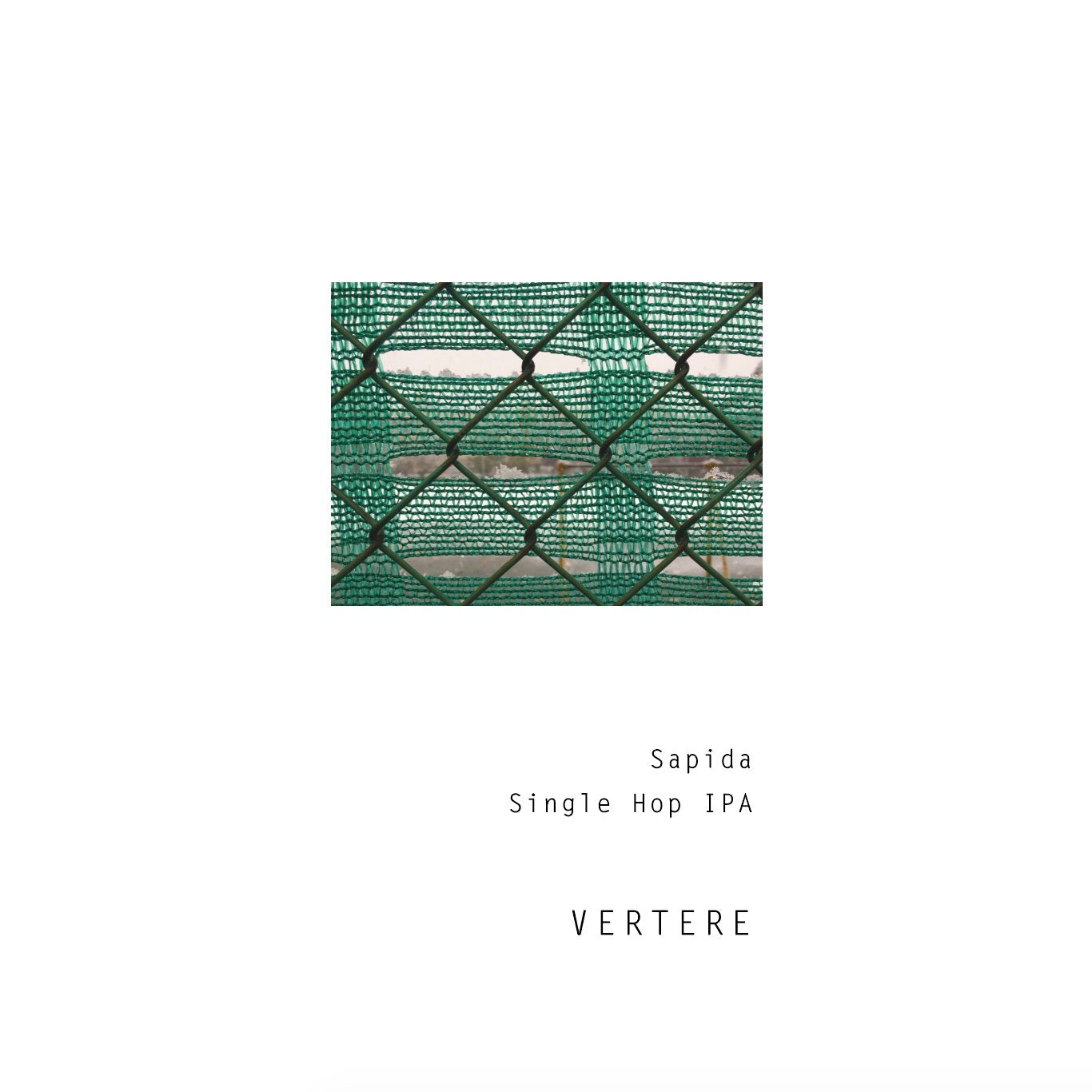 Vertere Sapida Can 500ml バテレ サピーダ