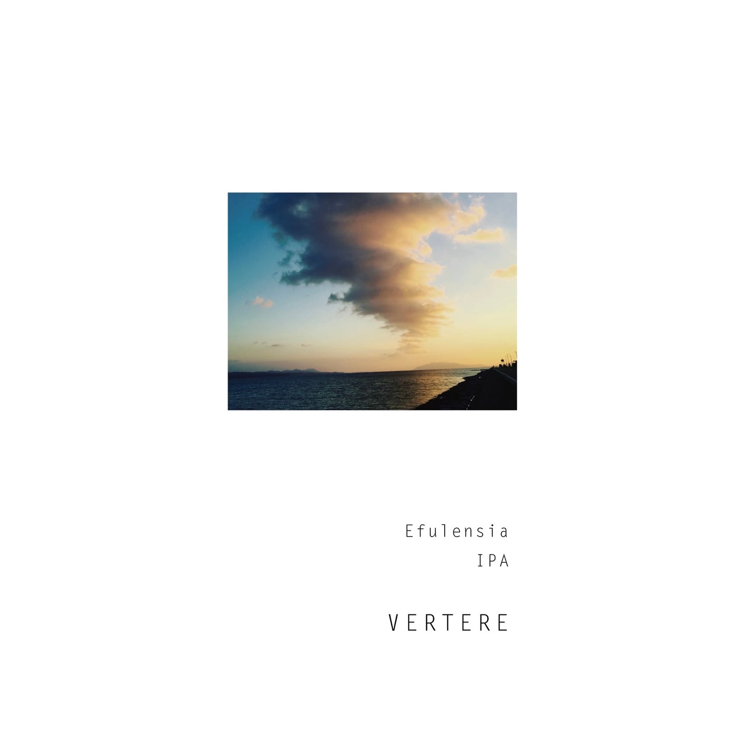Vertere Efulensia Can 500ml バテレ エフレンシア