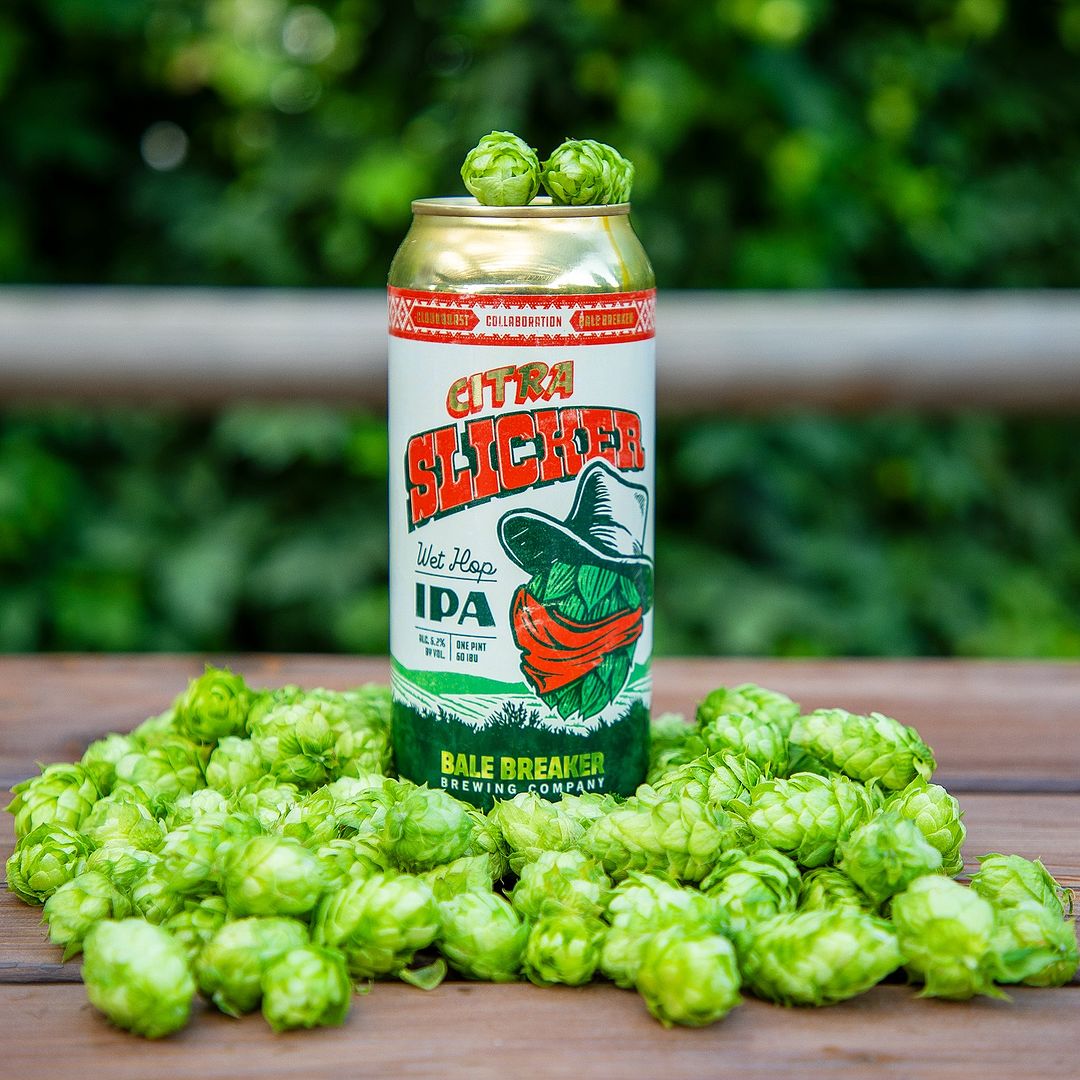 ベイル ブレイカー シトラ スリッカー ウェット ホップ IPA  Bale Breaker Citra Slicker Wet Hop IPA Can 473ml