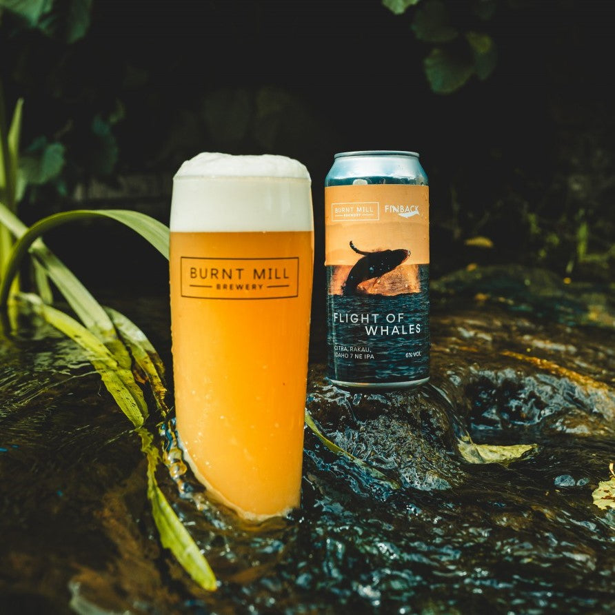 【Finbackコラボ】Burnt Mill Flight of Whales Can 440ml　バーント ミル フライト オブ ホエールズ　※お一人様２本まで、その他の商品と合わせて合計で4本以上のご購入をお願い致します