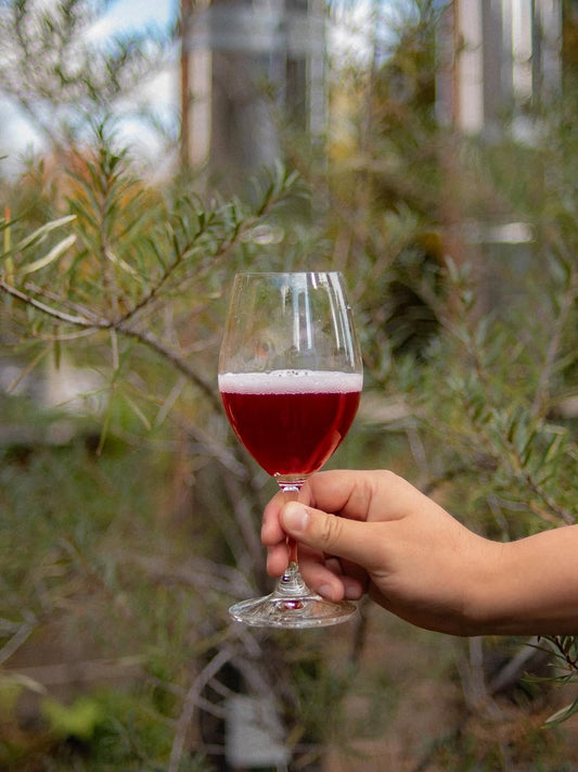 Burdock Demirossa Bottle 750ml　バーダック デミロッサ