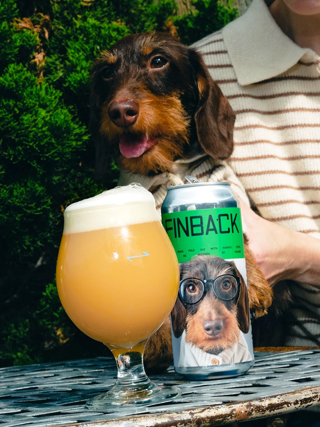 Finback Doggo Can 473ml　フィンバック ドッゴ
