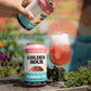 Burdock Golden Hour Can 355ml　バーダック ゴールデン アワー