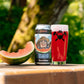 Great Notion Seedless Can 473ml　グレート ノーション シードレス