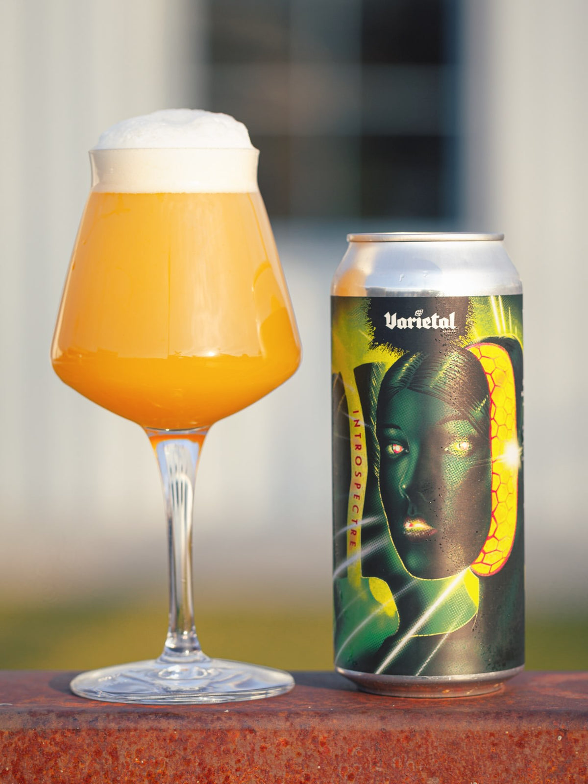 Varietal Introspectre Can 473ml　ヴァラエタル イントロスペクター