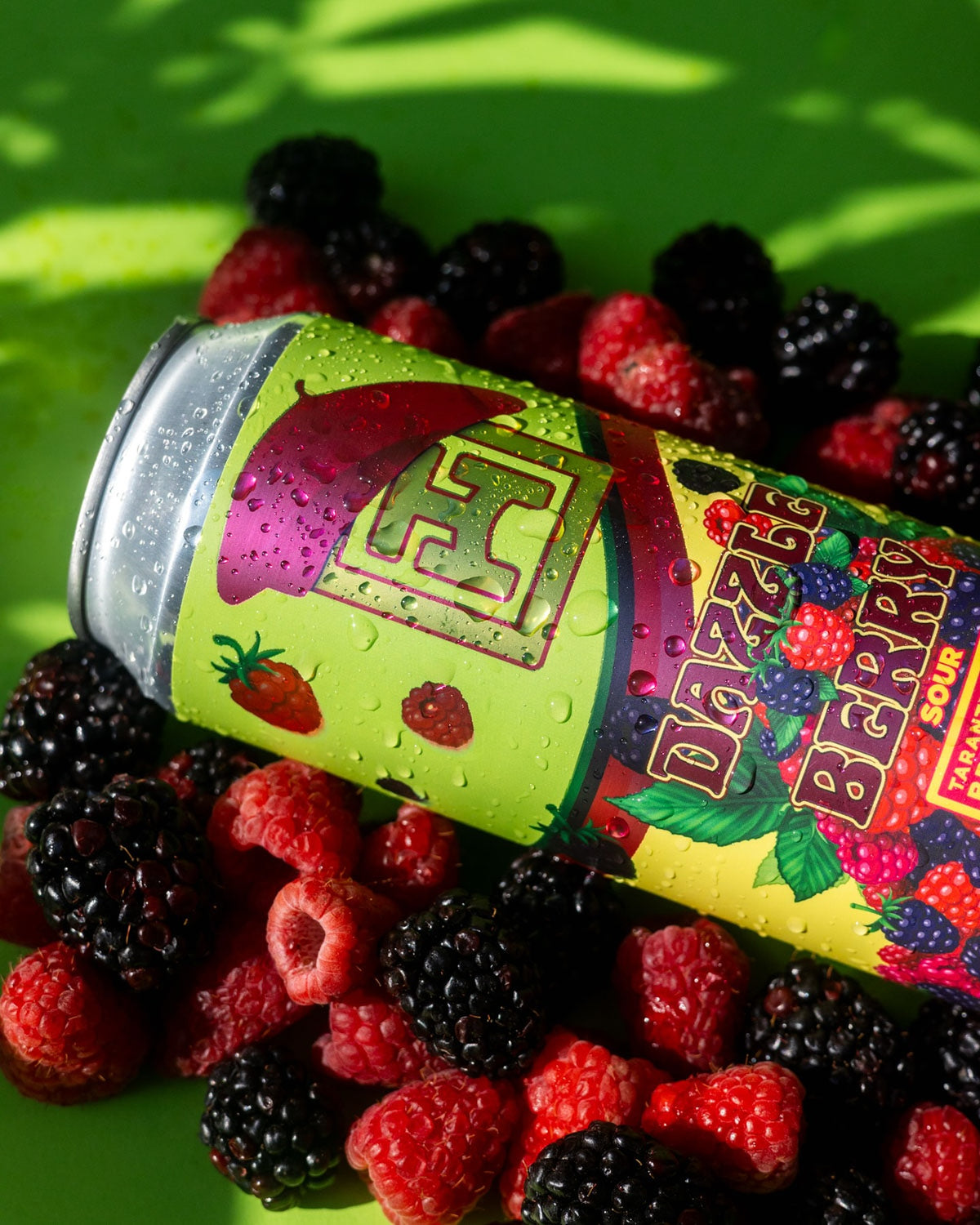 Tarantula Hill Dazzle Berry Can 473ml　タランチュラ ヒル ダズル ベリー
