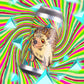 Tripping Animals Hedging Bets Can 473ml　トリッピング アニマルズ ヘッジング ベッツ