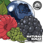 West Coast Natural Sugar Can 500ml　ウェスト コースト ナチュラル シュガー