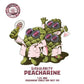 West Coast Singularity: Peacharine Can 500ml　ウェスト コースト シンギュラリティ ピーチエリン