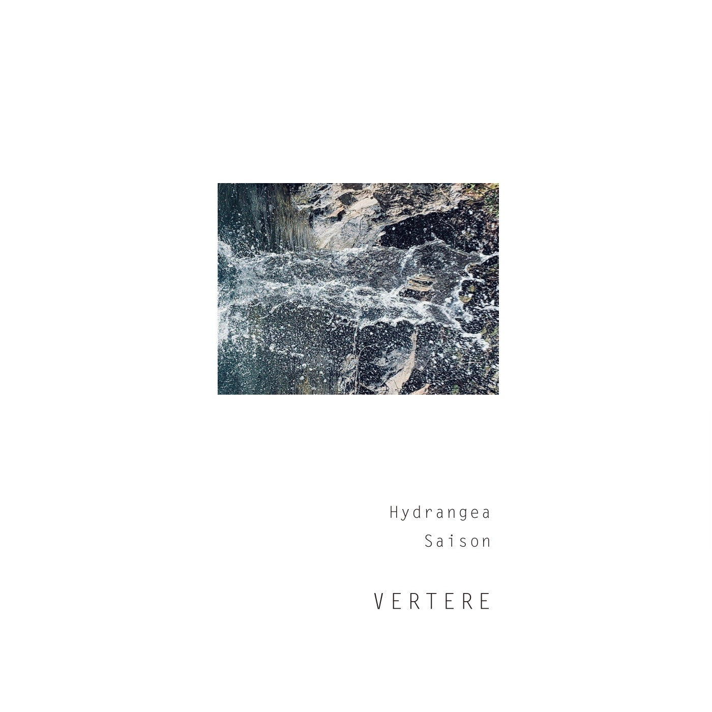 Vertere Hydrangea Can 500ml　バテレ ハイドランジア　※お一人様一本まで
