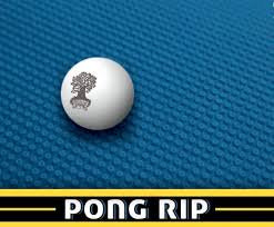 バーリー オーク ポン リップ  Burley Oak Pong Rip Can 473ml