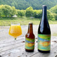Off Trail Mango Supercollider Bottle 330ml