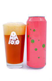 Omnipollo Bianca Noa Pecan Guava Lychee Passionfruit Mud Cake Can 500ml
