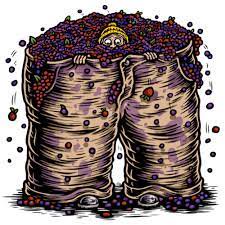 Great Notion XL Jammy Pants Can 473ml