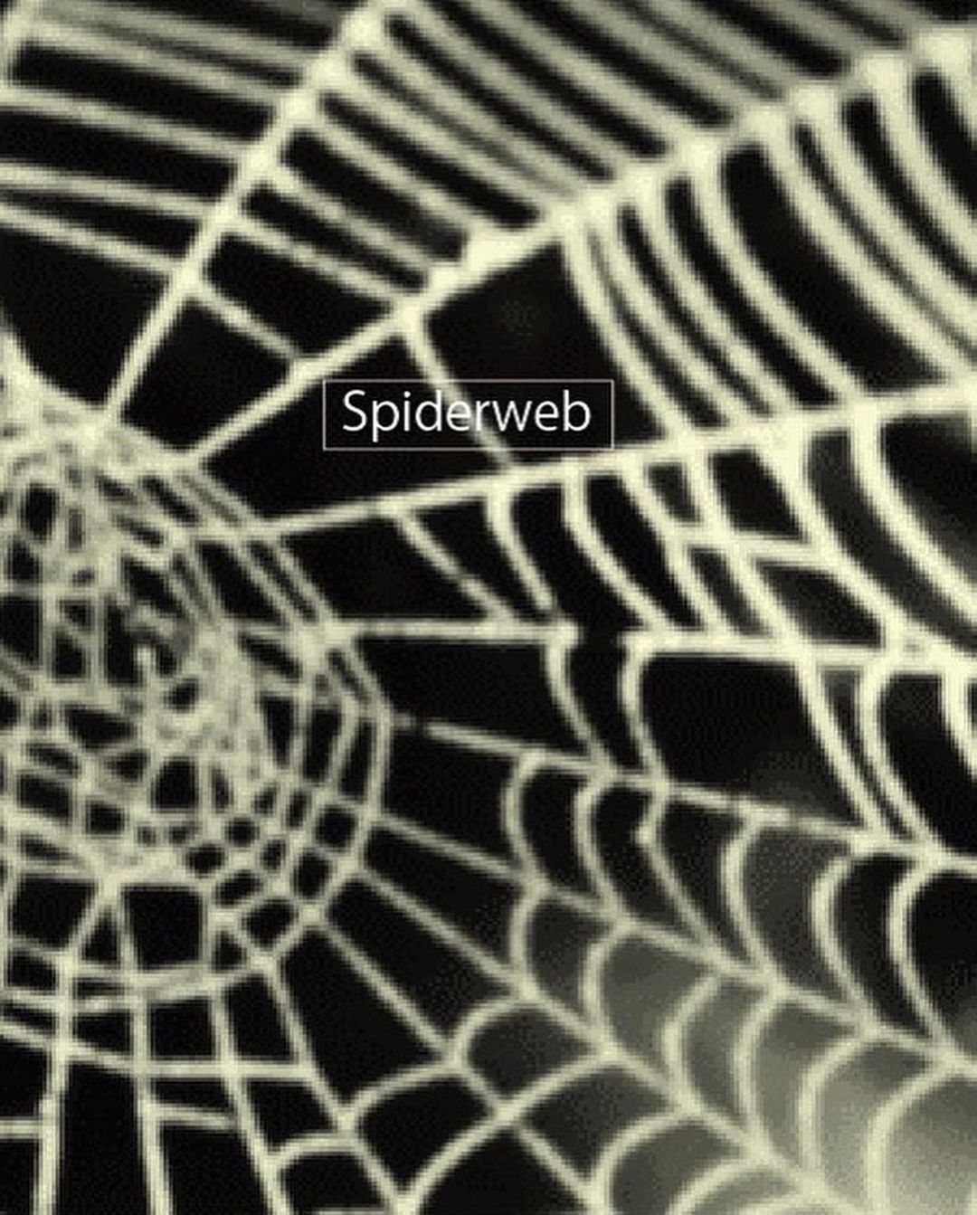 AMAKUSA Spiderweb Can 350ml　アマクサ スパイダー ウェブ　※その他の商品と合わせて合計で4本以上のご購入をお願い致します。