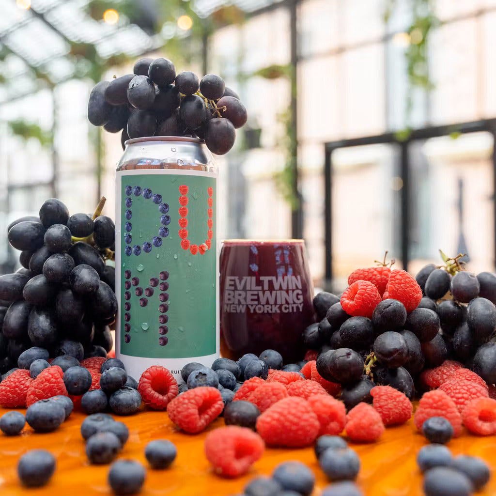 Evil Twin NYC Dumb Fruit 11 Can 473ml
