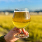 ひみつビール RICE HACK Can 350ml　ひみつビール ライス ハック　