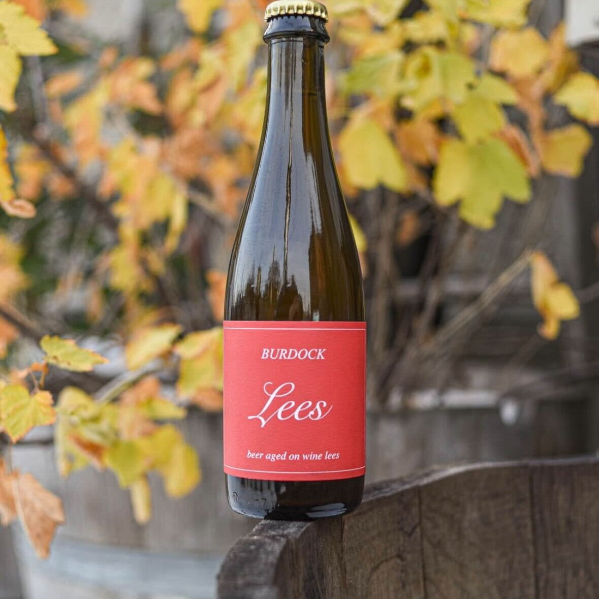 Burdock Lees Bottle 375ml　バーダック リーズ