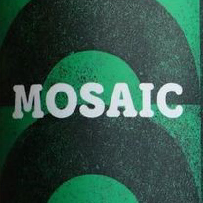 Parallel 49 Mosaic Can 473ml