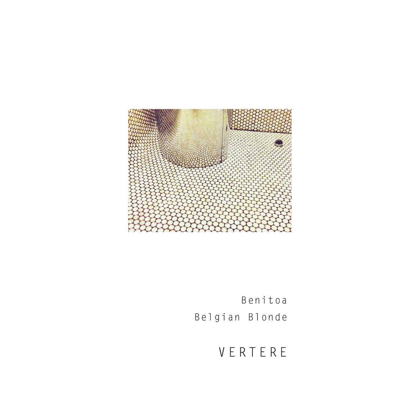 Vertere Benitoa Can 500ml　バテレ ベニトア