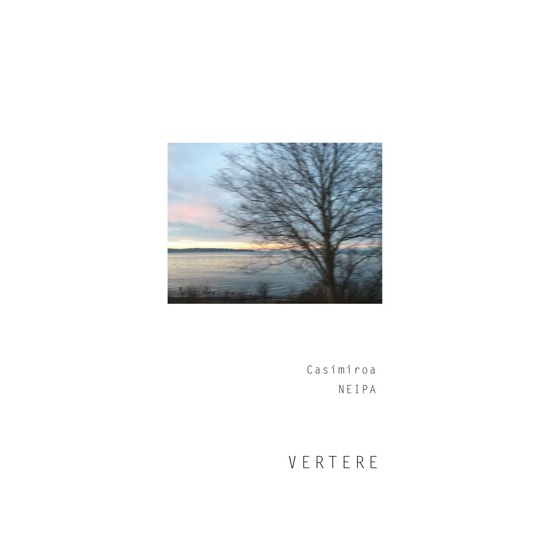 Vertere Casimiroa Can 500ml　バテレ カシミロア
