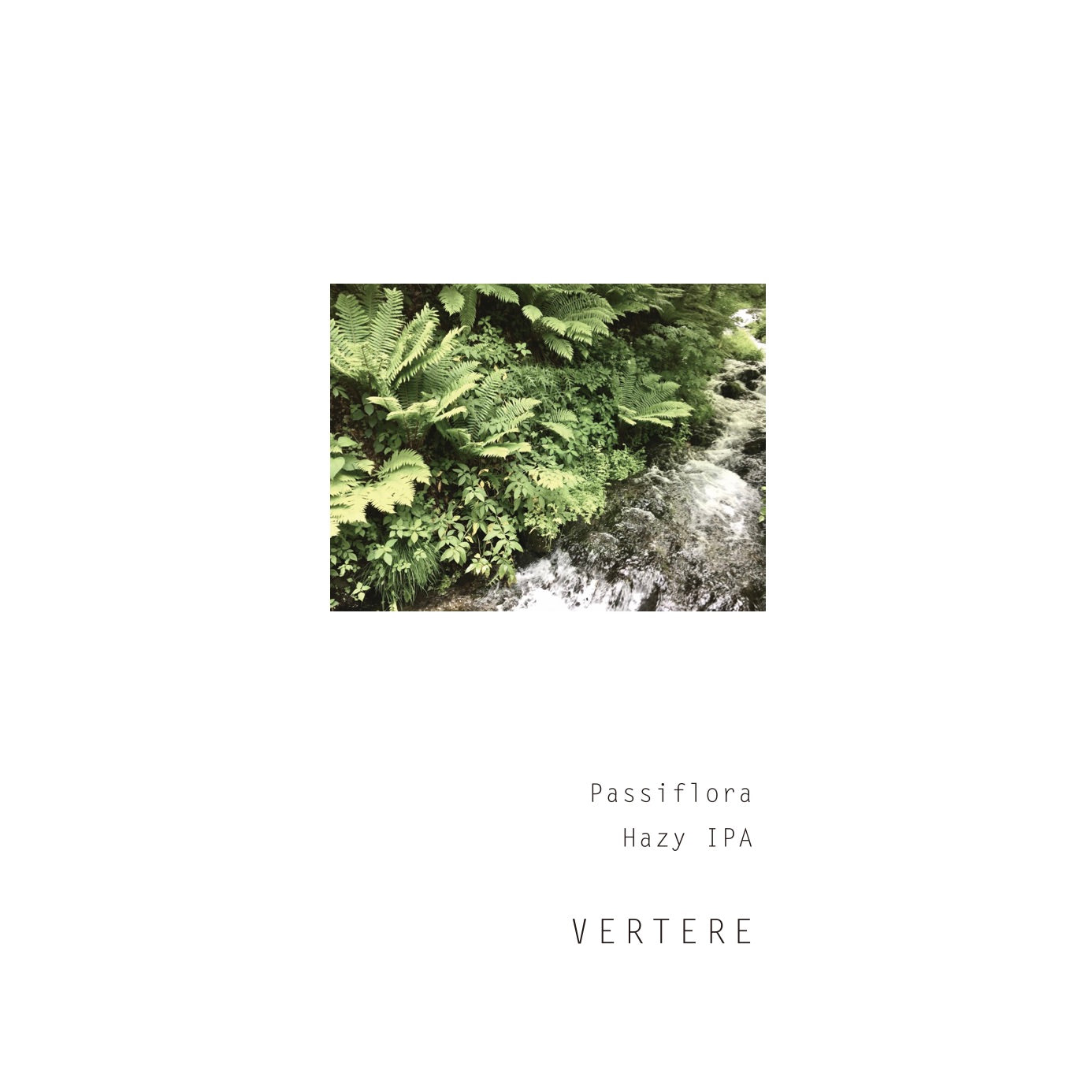 Vertere Passiflora Can 500ml　バテレ パシフローラ